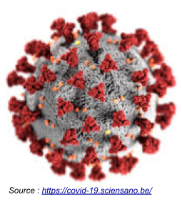 SARS-Cov2