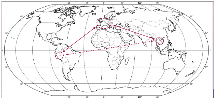 Coclian MAP