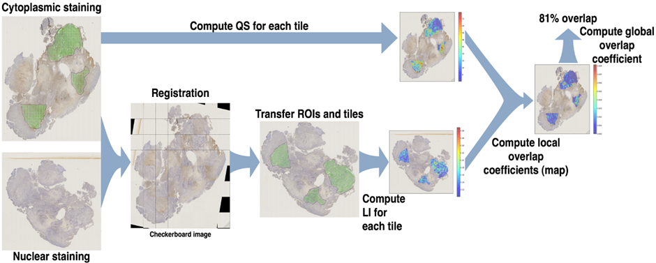 Image registration