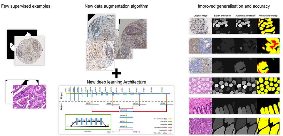 Whole slide imaging